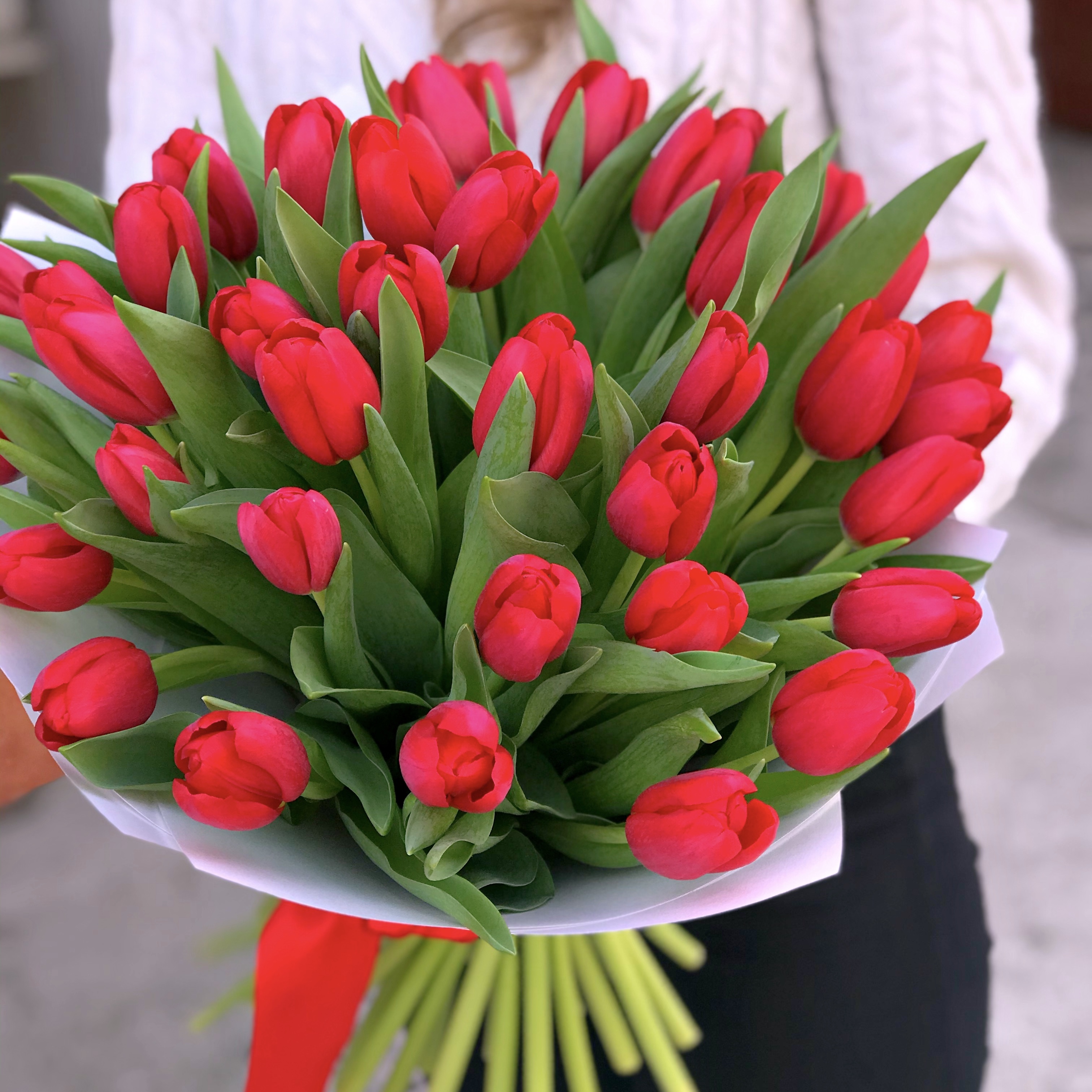 Букет 27 красных тюльпанов