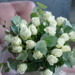 35 White Roses 50-60cm