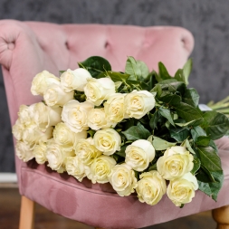 15 Trandafiri Albi 80-90 cm