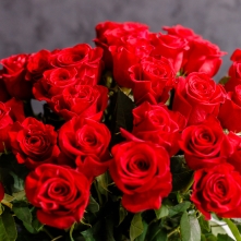 Red Roses 80-90 cm alt vedere product 3