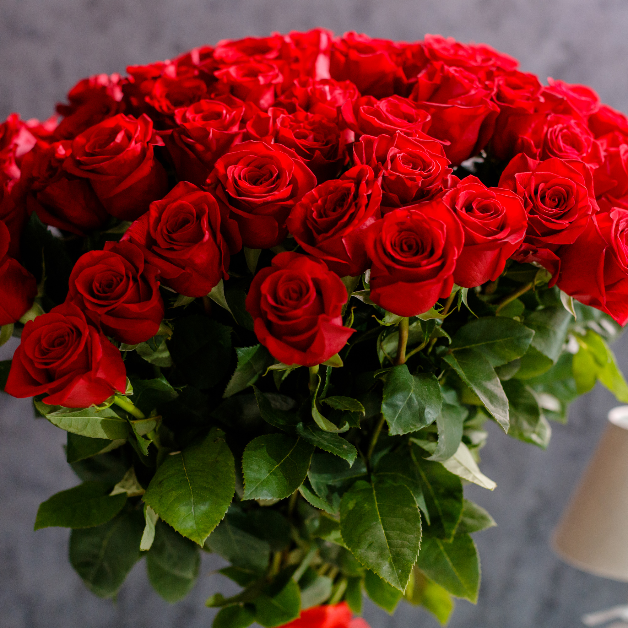 51 Trandafiri Roșii 8090 cm