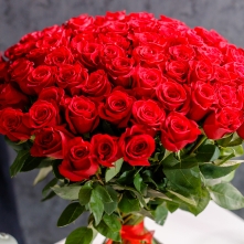 Red Roses 80-90 cm 101 pcs alt vedere product 3