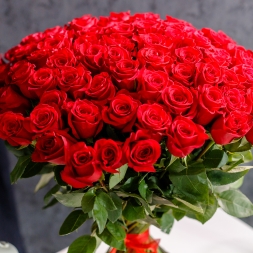 101 Trandafiri Roșii 80-90 cm