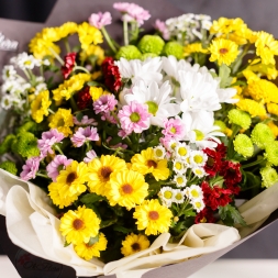 15 Multicolored Chrysanthemums