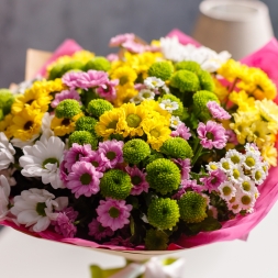 25 Multicolored Chrysanthemums