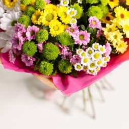 25 Multicolored Chrysanthemums