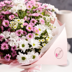 25 Pink-White Chrysanthemum