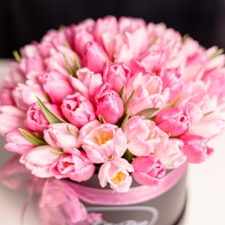 Black Box with Pink Tulips