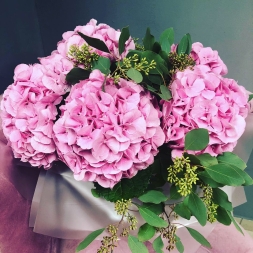 Bouquet of Pink Hydrangea