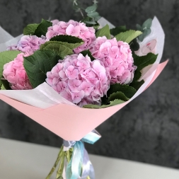 Bouquet of Pink Hydrangea in Paper