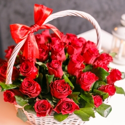 Basket of 25 red roses Ecuador