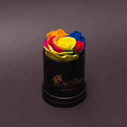 Rainbow Preserved Rose in Black Mini Box