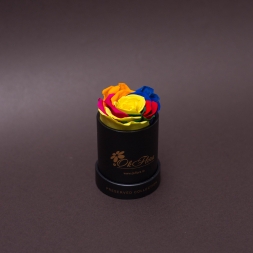 Rainbow Preserved Rose in Black Mini Box