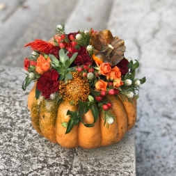 Arrangement in Pumpkin Nr. 3