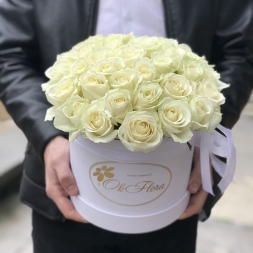 Lux Collection of  White Roses