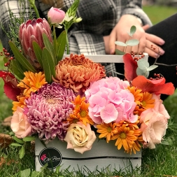 Box with Protea