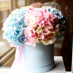 Box with White and Pink Hydrangea