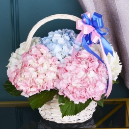 Basket with White, Oink and Blue Hydrangeas