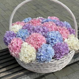 Big Basket wit Pink, White and Blue Hydrangea