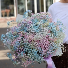 Bouquet of 15 Multicolor Gypsophila alt vedere product