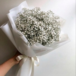 Bouquet of White Gypsophila in White Paper