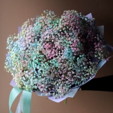 Bouquet of 25 Rainbow Gypsophila alt vedere product