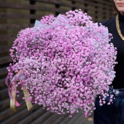Bouquet of 15 Pink Gypsophila