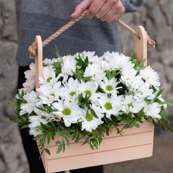 White Chrisantemum in Wood Crate