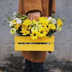 Yellow Chrisantemum in Crate