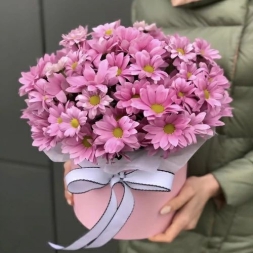 Box with Pink Chrisantemum