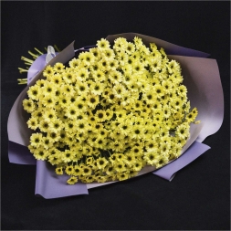 Bouquet of Yellow Chrisantemum