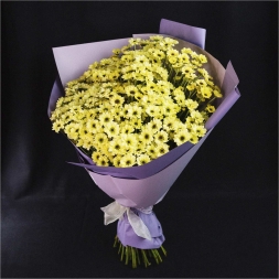 Bouquet of Yellow Chrisantemum