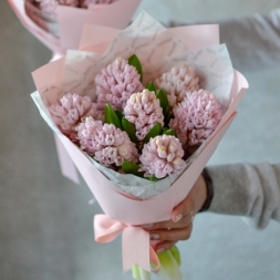 Bouquet of Pink Hyacinths in Pink Paper