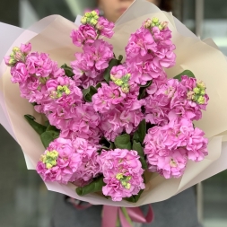 Bouquet of Matthiola / Pink Mixandre (9 stems)