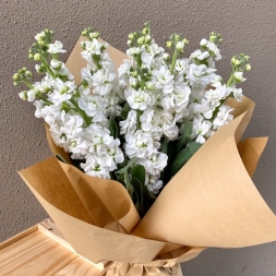 White Matthiola Bouquet in Natural Paper