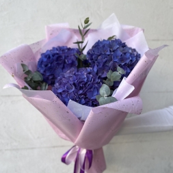 Bouquet of Purple Hydrangea and Eucaliptus