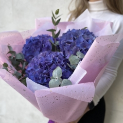 Bouquet of Purple Hydrangea and Eucaliptus