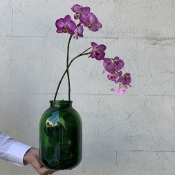 Pink Orchid in Green Vase