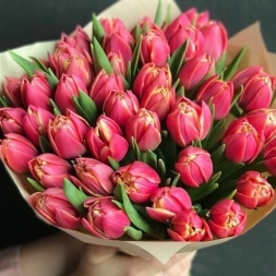 Bouquet of Double Pink Tulips