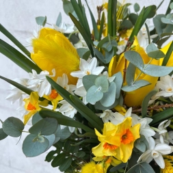 Spring Bouquet with Tulips and Narcissus Spray