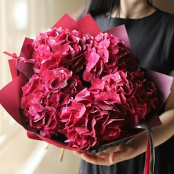 Bouquet of Crimson Hydrangeas