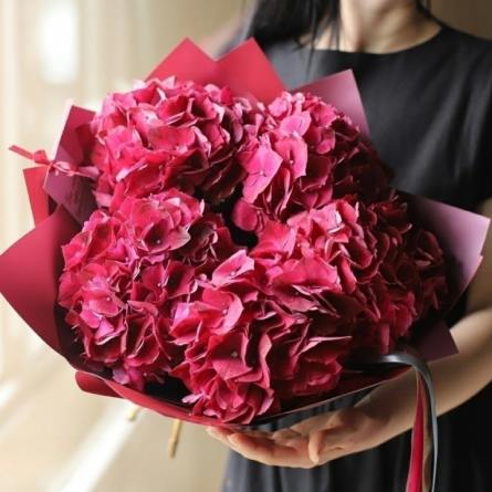 Image of Bouquet of crimson hydrangeas