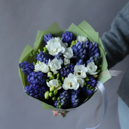Bouquet with Blue Hyacinths and White Freesias