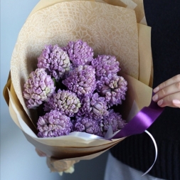 Bouquet of Lilac Hyacinths