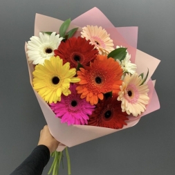 Bouquet of 9 Multicolored Gerberas
