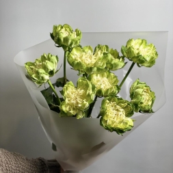 Bouquet of Veggie Green Roses