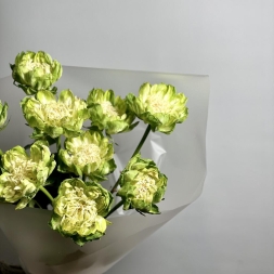 Букет зеленых роз Veggie