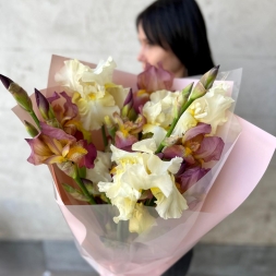 Bouquet of Cream and Bordeaux Irises