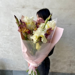 Bouquet of Cream and Bordeaux Irises