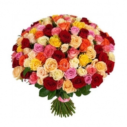101 Trandafiri multicolori 30-40cm
